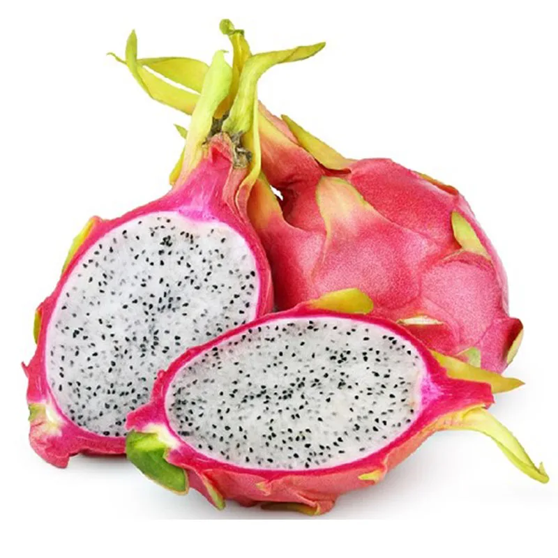 
Fresh dragon fruit origin from Vietnam packing in carton 9kg net weight big size red and white flesh 14-16pcs per box 