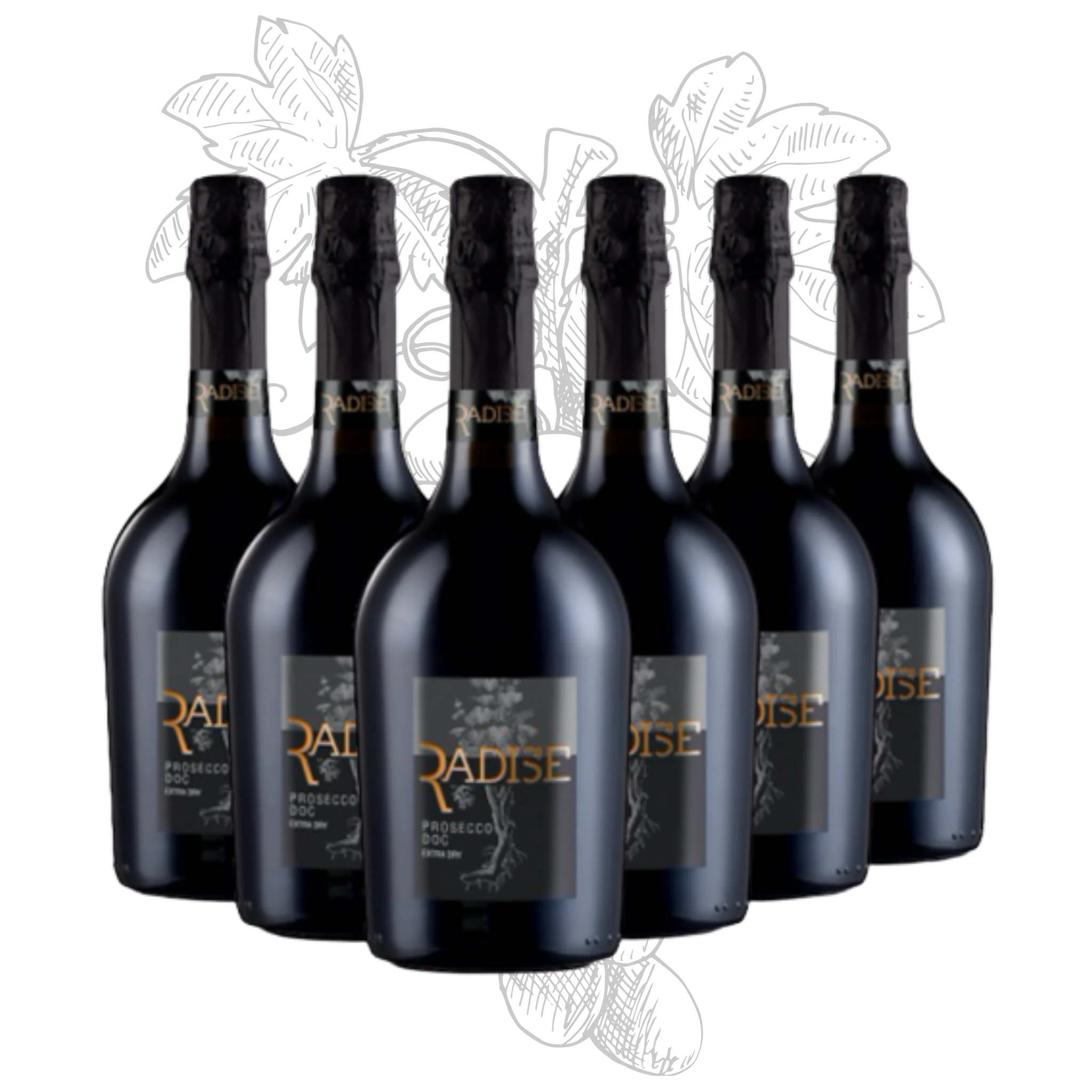 Premium Italian Prosecco DOC Extra Dry Sparkling WIne - Radise - bottles 750 ml alcohol 11% for export