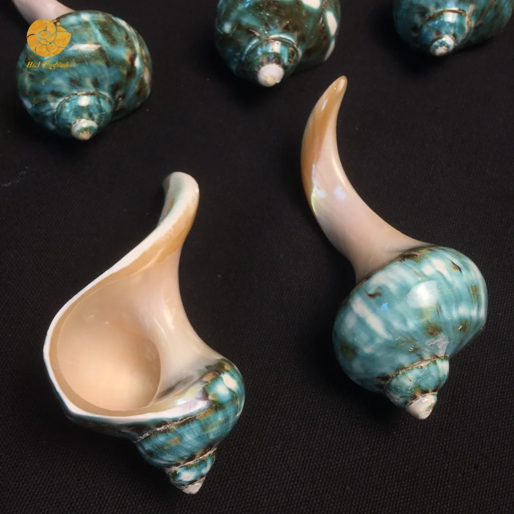 Eco-friendly Chopsticks Holder Polished Green Conch Shell Chopstick Rest Handmade Tableware Chopstick Holder