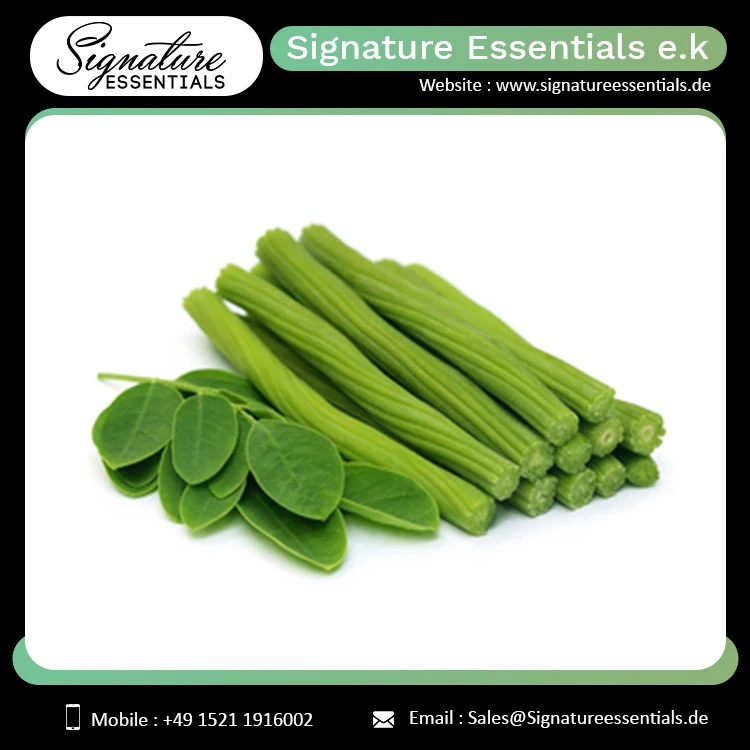 Factory Supply High Graded Organic Moringa Seed Oil For Including Hair Care