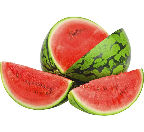 
Premium Water Melon COMMON/Fresh Melons/ Fresh Watermelon for Sale 