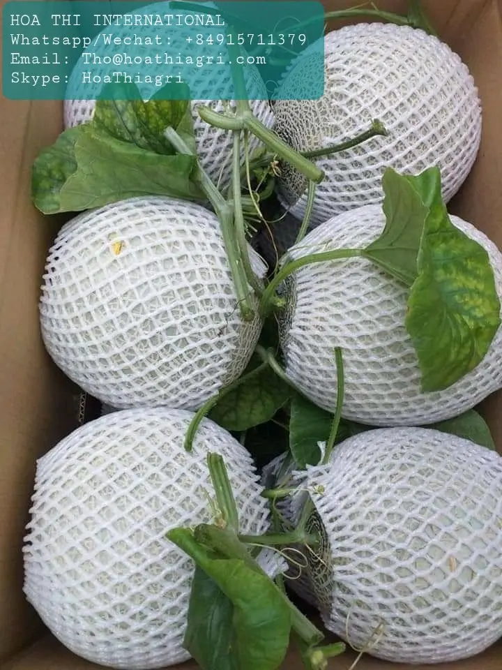 Органическое культивирование, 100% натуральная свежая Мускусная Дыня премиум-класса, размер 1,0-2,0 кг, высокое качество, Лучшая цена