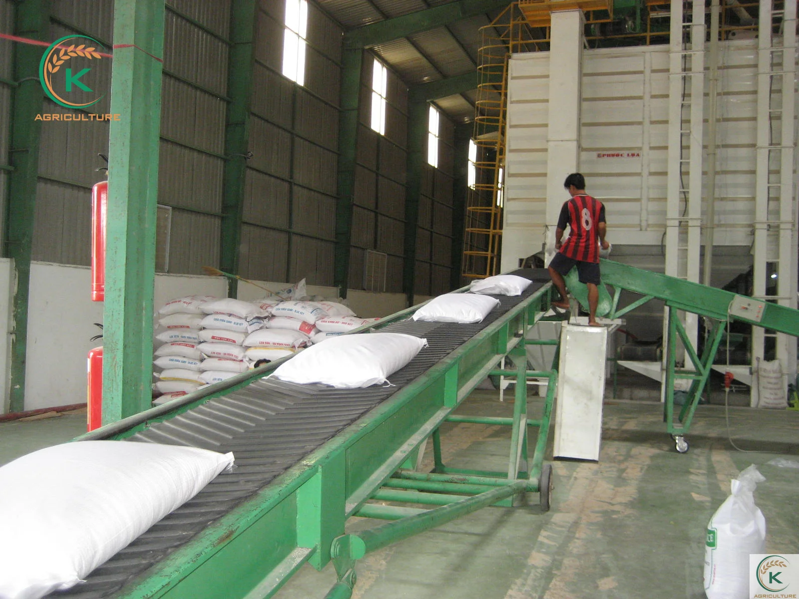 IR504 Fresh Grain Soft Texture Rice from Vietnam New Crop K-Agriculture Factory / Whatsapp: +84 855555794