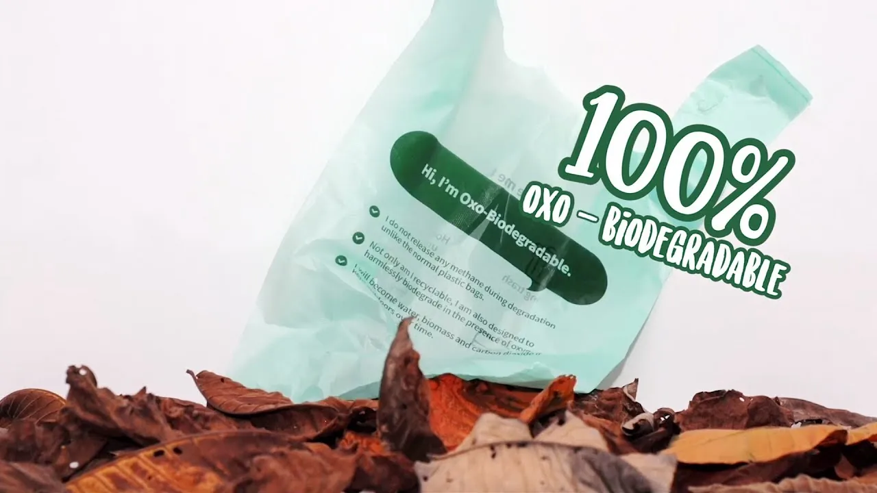 Supermarket custom biodegradable plastic bags for packaging foods with handles biobased compostable t-shirt shopping plastic bag