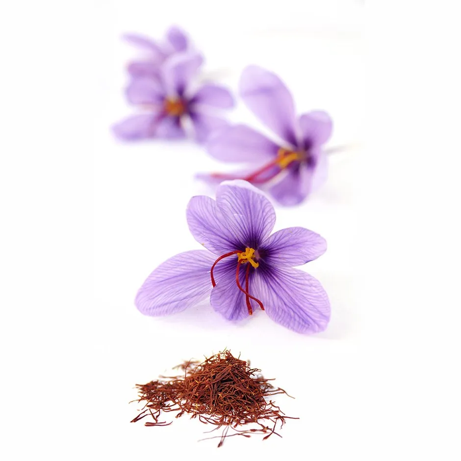 dried saffron flowers