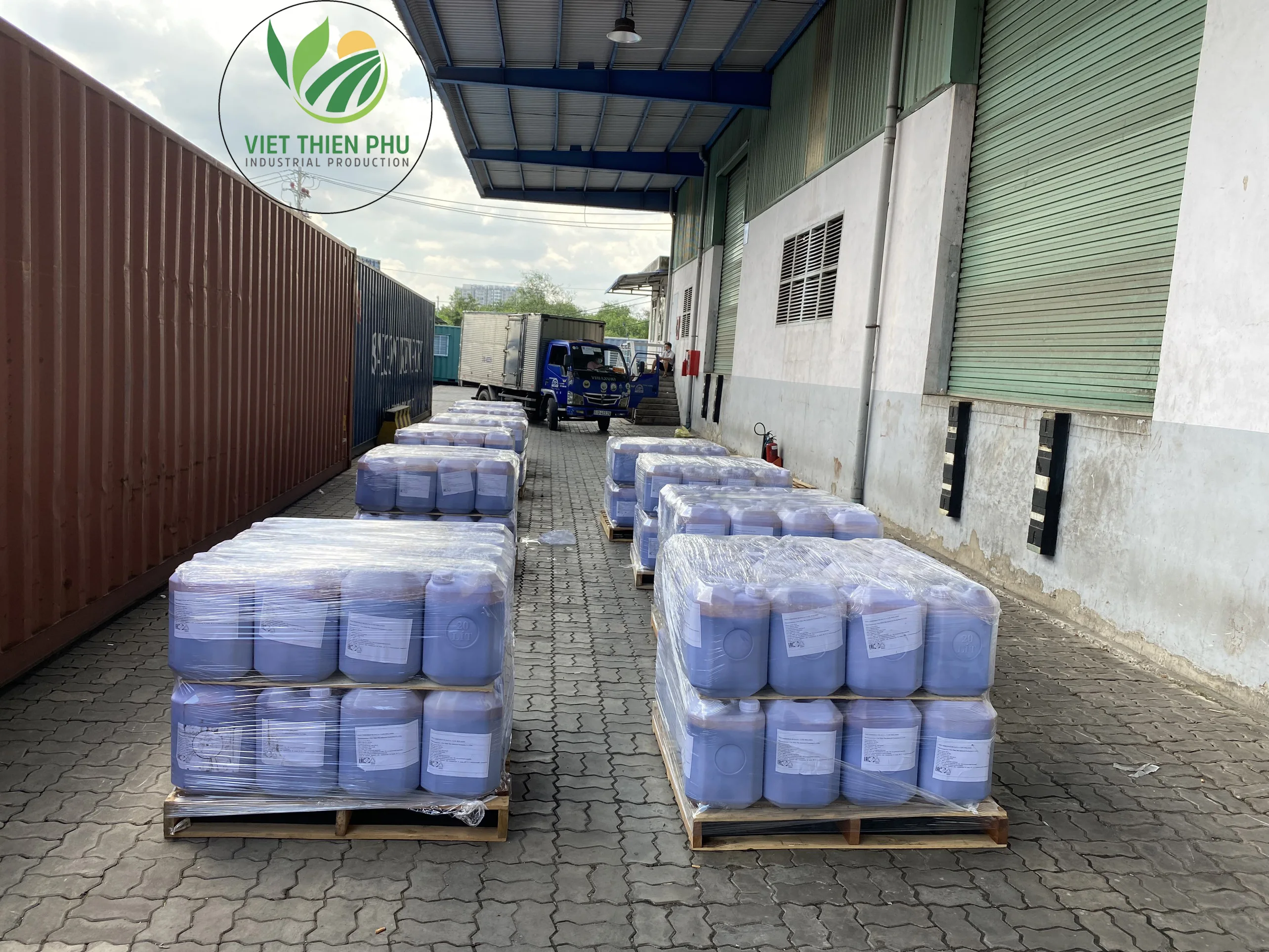 Сахарный тростник меласса низкая цена 2021/черные ремешки из