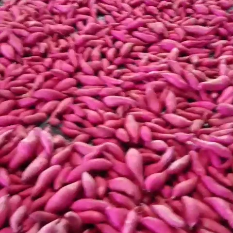 Оптовый продавец высококачественных деревенских картофельных изделий из Вьетнама номер один