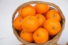 Pure Organic  Whole sale Cheapest  Factory price Fresh Mandarin Orange tangerine