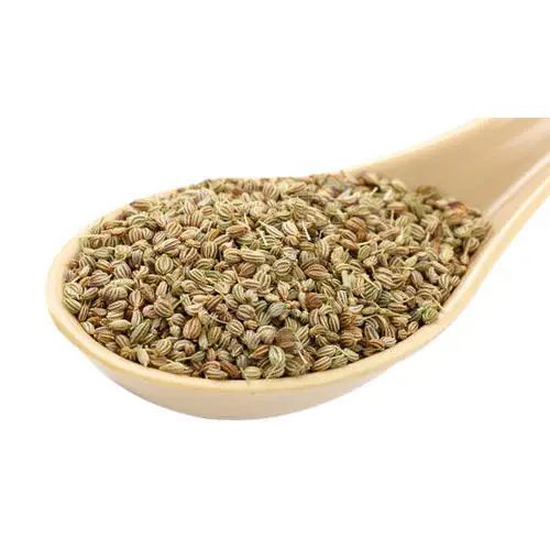 Best quality Ajwain seed / organic Ajwain seeds