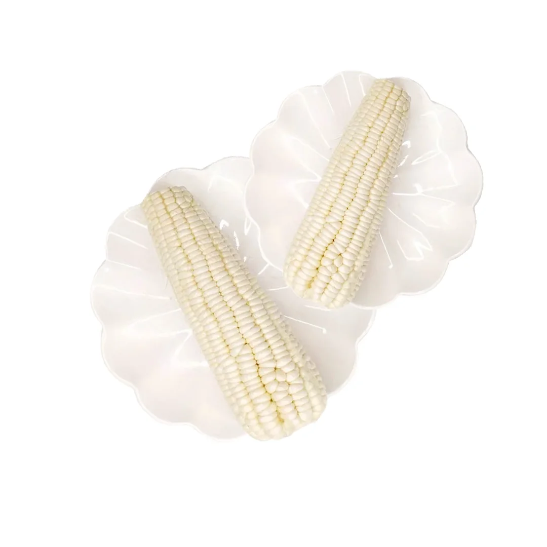 High-quality Frozen Dried Super Dried Yellow Sweet Corn for Sale