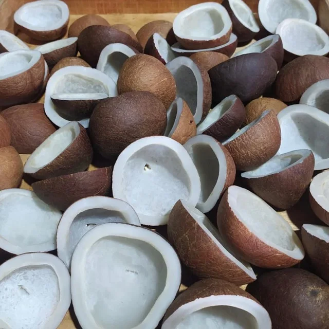Best Selling Coconut White Copra Edible 4-9 cm Origin Indonesia