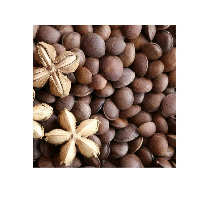  Оптовая поставка высококачественного натурального масла сачи по лучшей цене Ms Elaine + 84 375 431 541 (whatsApp)