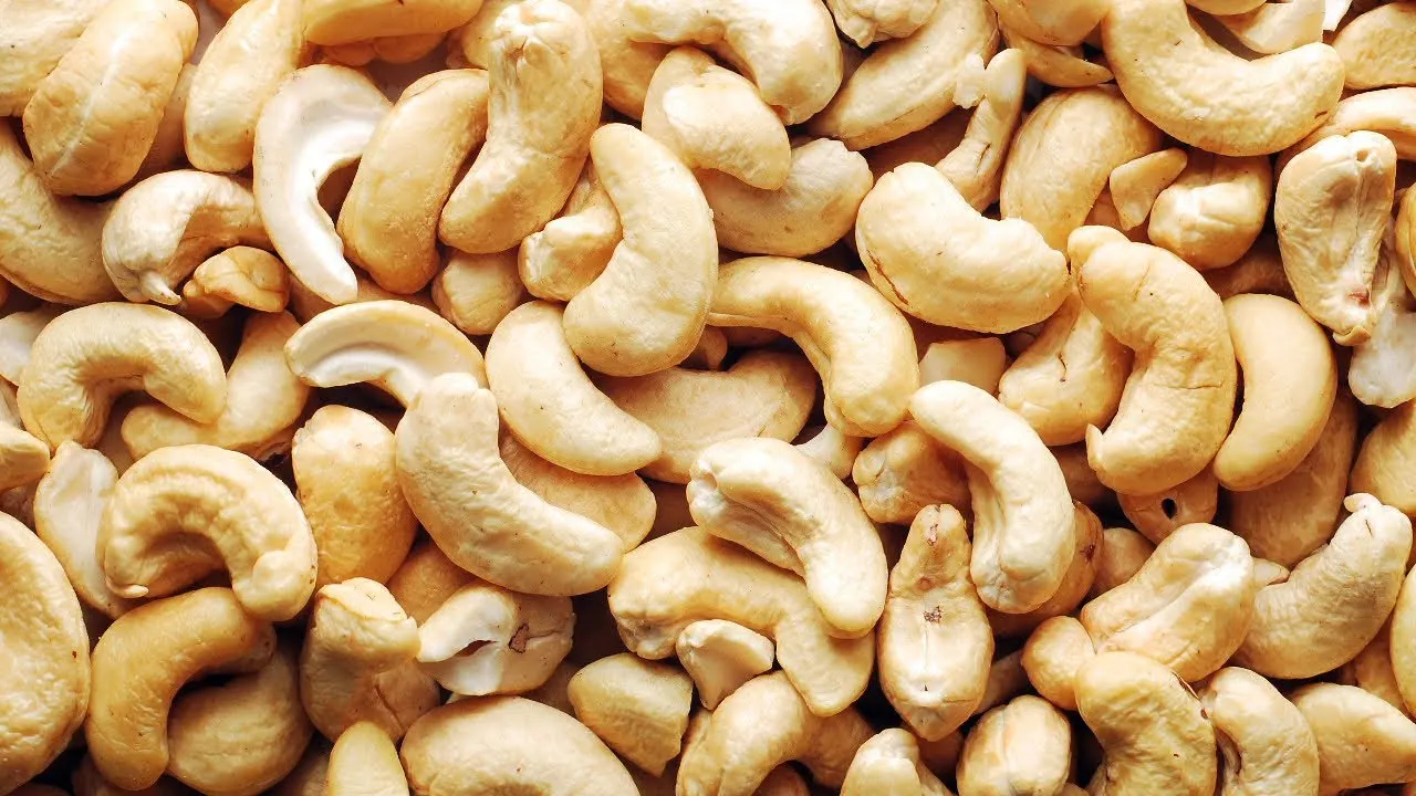 Cashew Roasted Top Quality All Types Available (W180 W240 W320 W450) Wholesale From Vietnam - W240