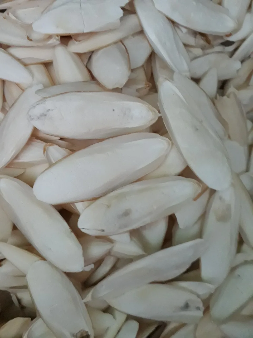 Кости для морской слепки кости корма птиц кальция вьетнамский поставщик низкая цена мисс Мэй (+ 84 904 183 651)