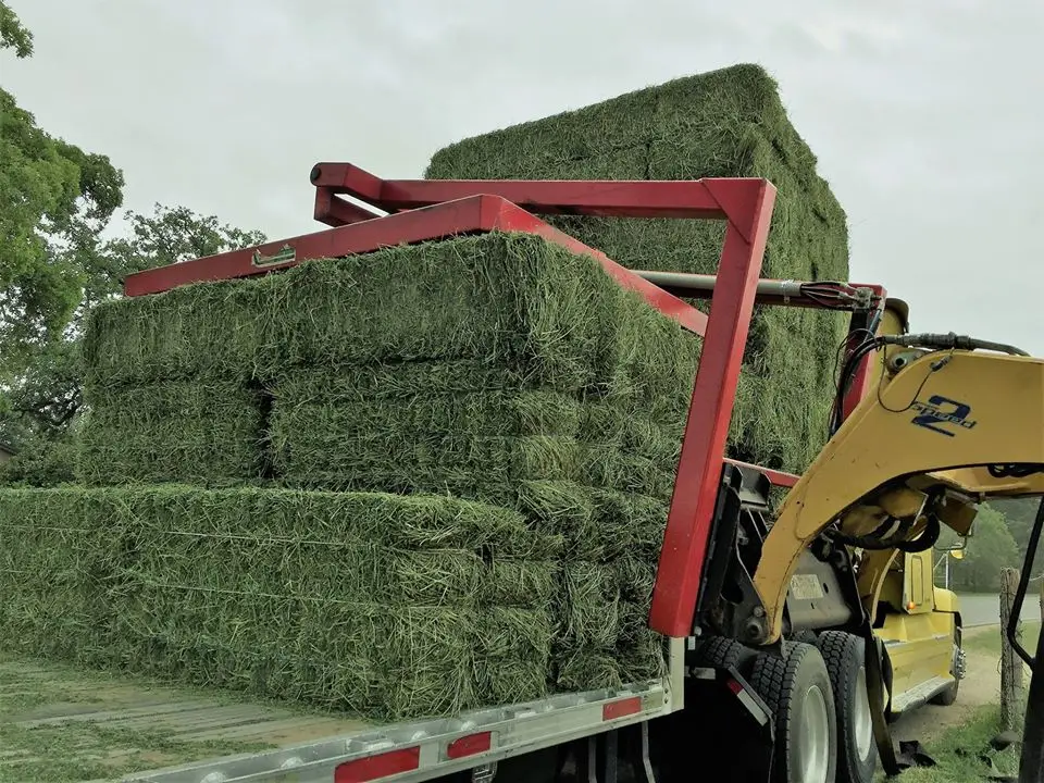 
Original and Organic Alfalfa Hay/Alfalfa Grass Hay/Alfalfa Hay Bale For Animal Feed 