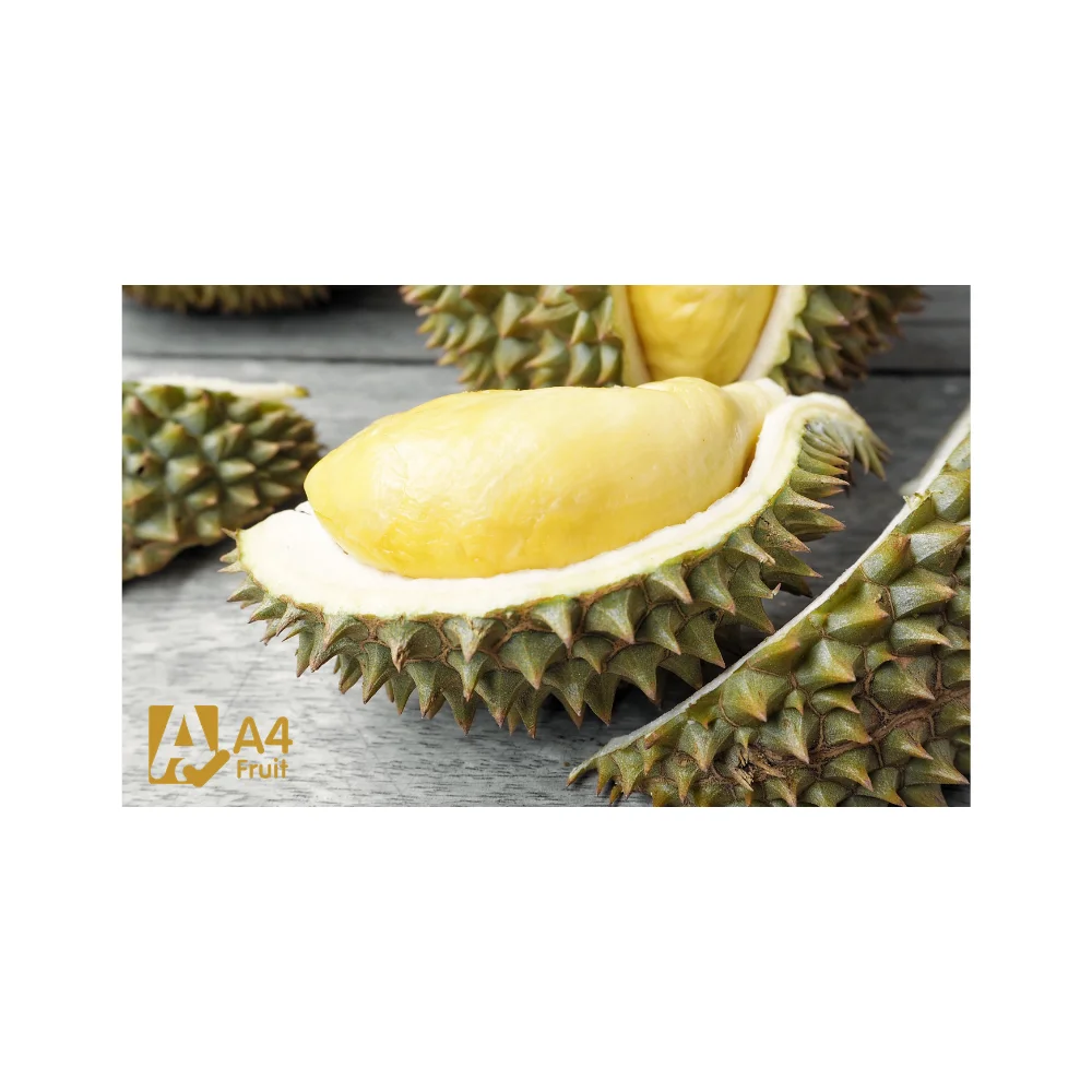 Authentic Fresh Thai Durian - Unforgettable Taste, Alluring Aroma, Swift Delivery - Experience Tropical Fruit Royalty