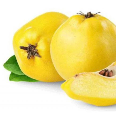 Высококачественная свежая Quince быстрая