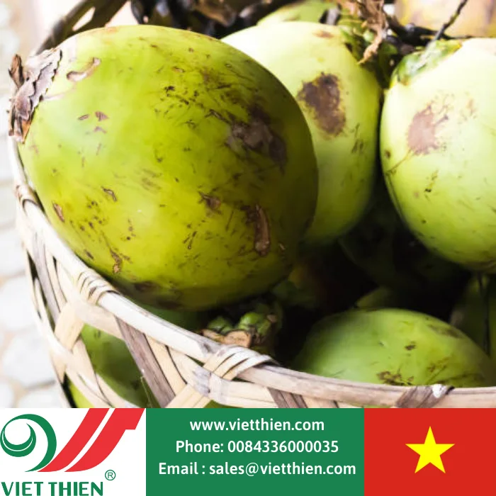  Wholesale organic fresh young coconut selected and processed with strict process from the west of Vietnam