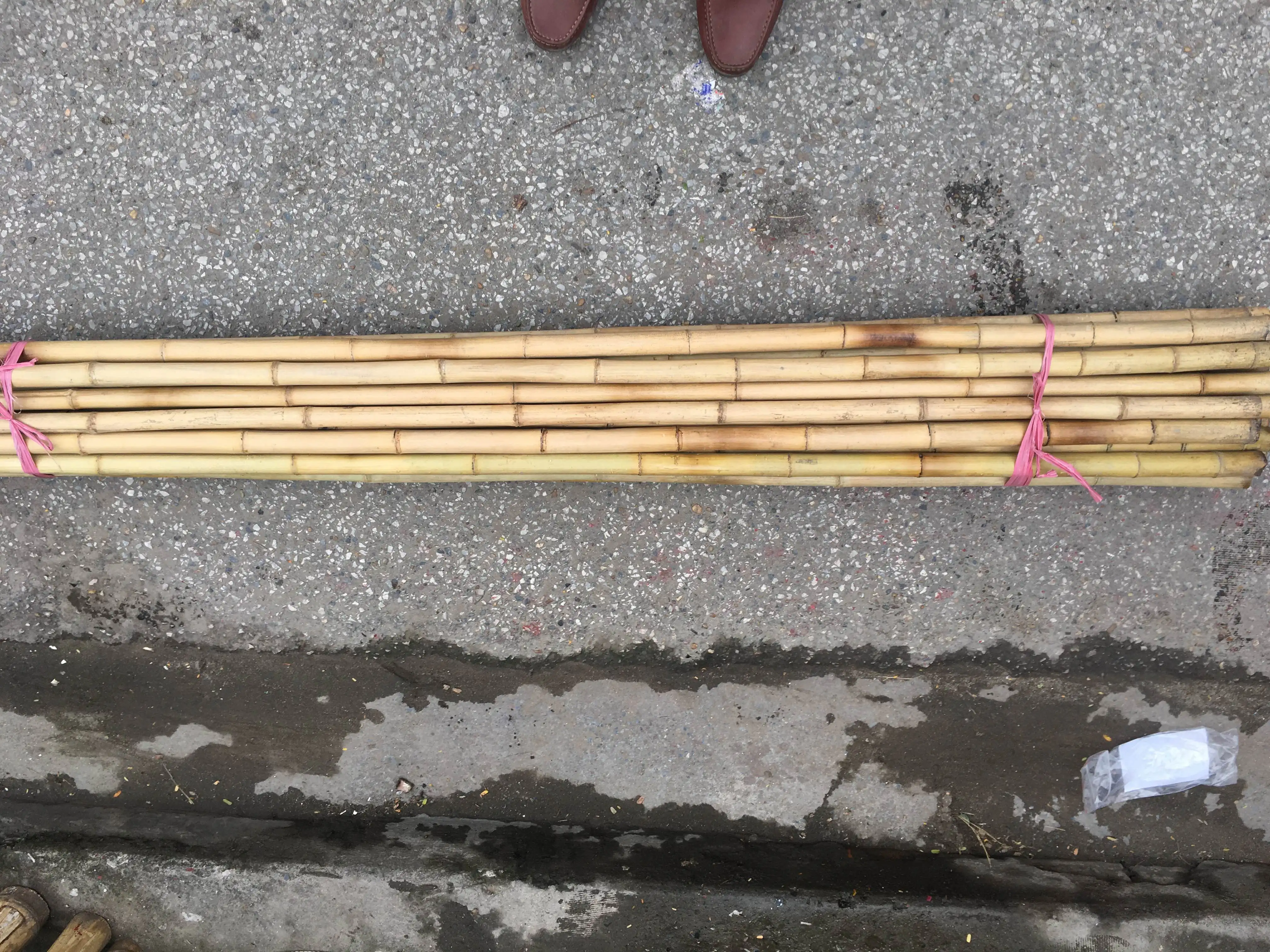 Natural Bamboo Pole/ Green Pole Low Price