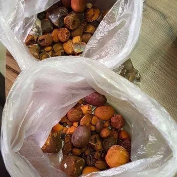 Dried Cow Ox Gallstones