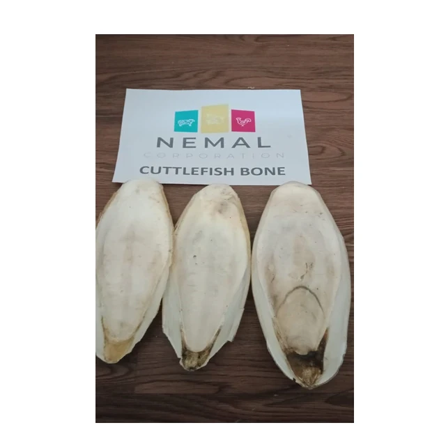
Export Quality Cuttlefish Bone (Dried) 