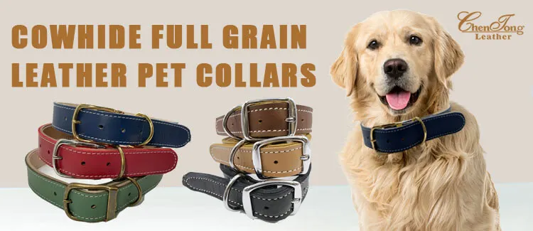 double layer dog collar T17nb1