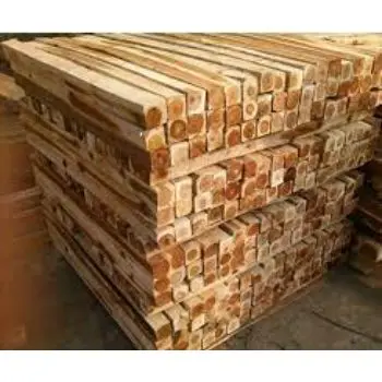 download (10).jfif.jpg