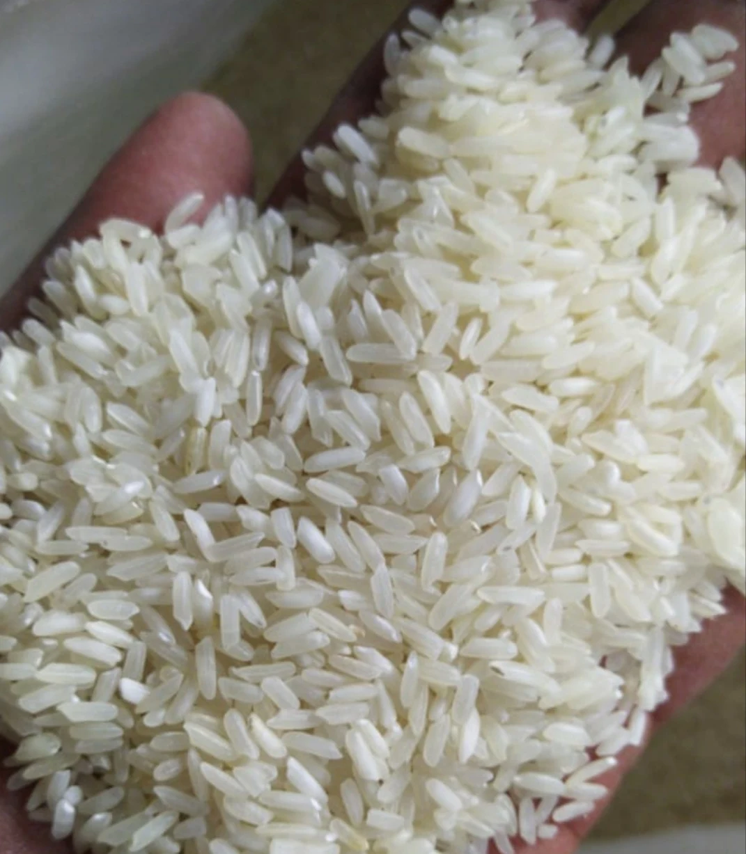 
PR 11/14 Sella Rice Parmal Non-Basmati Rice From India 