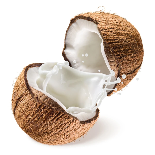  Высококачественный большой и свежий молодой сладкий кокос с разумной ценой из Таиланда зеленый Африки