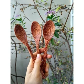 Vietnam EcoFriendly Coconut Spoon With High Quality 0084 815570479
