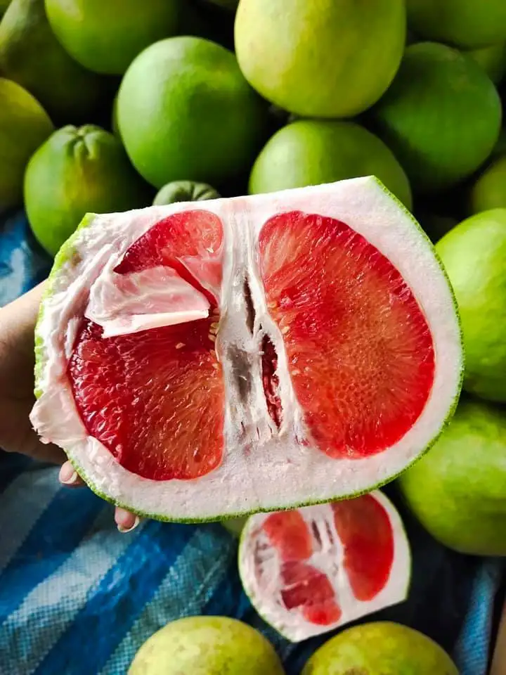 Natural from Thailand Premium Fruit Fresh and Sweet Ruby of Siam Pomelo