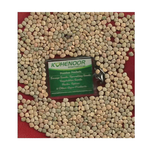 Kohenoor Guar/Cyamopsis Tetragonoloba Seeds