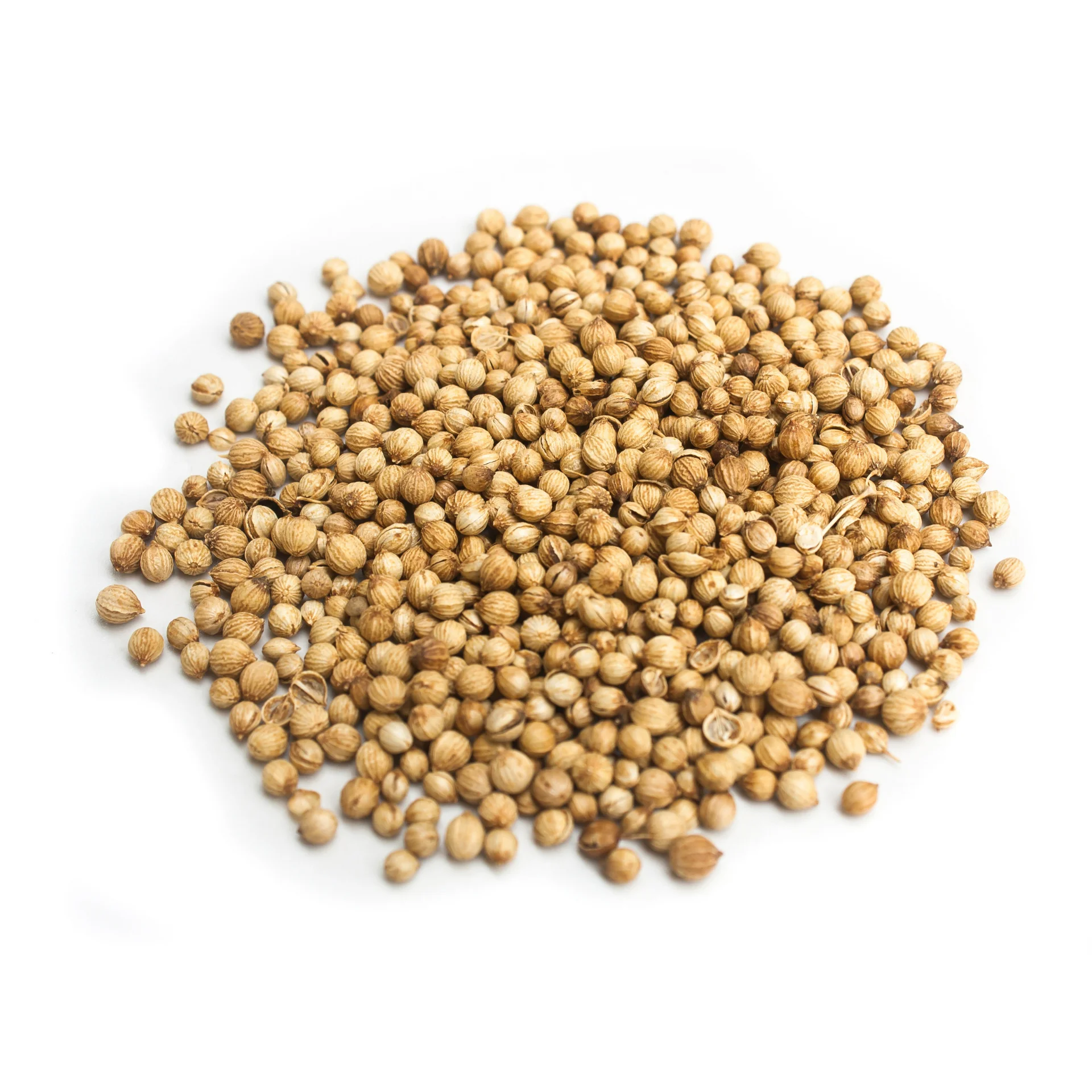 Coriander seeds - High quality