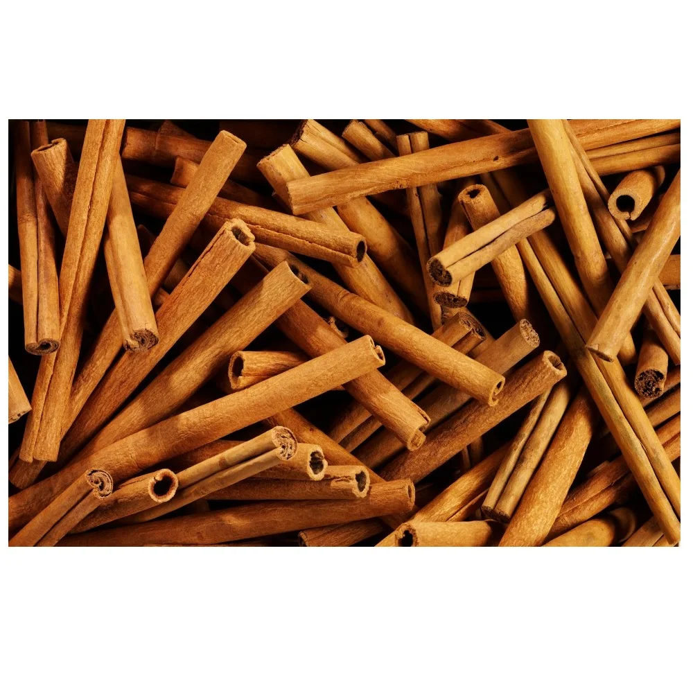 Wholesale Premium Quality Natural Dark Dried Style Raw Processing Piece Shape Cigarette Cassia Origin From Vietnam
