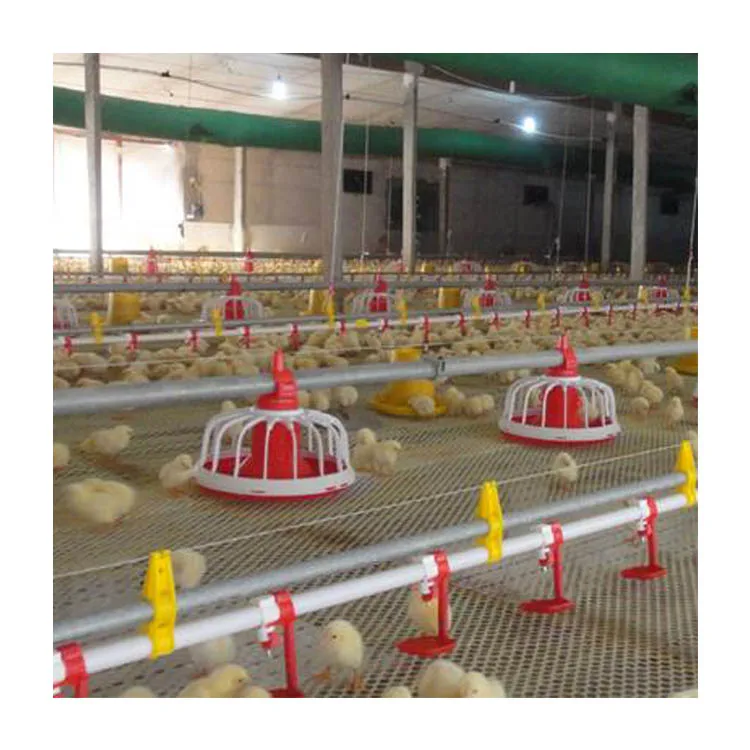 Poultry Automatic Feeder and Drinker China Poultry Farm Chicken Feeding Fully Automatic Feed System 1kg~40kg Provided Durable
