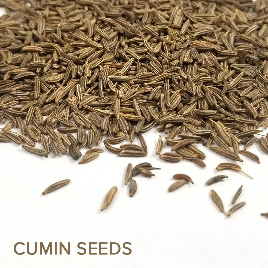cumin seeds purchase