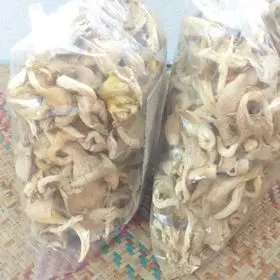 Top Grade Wholesale Fresh And White Frozen Mushroom For Sale In Cheap Price