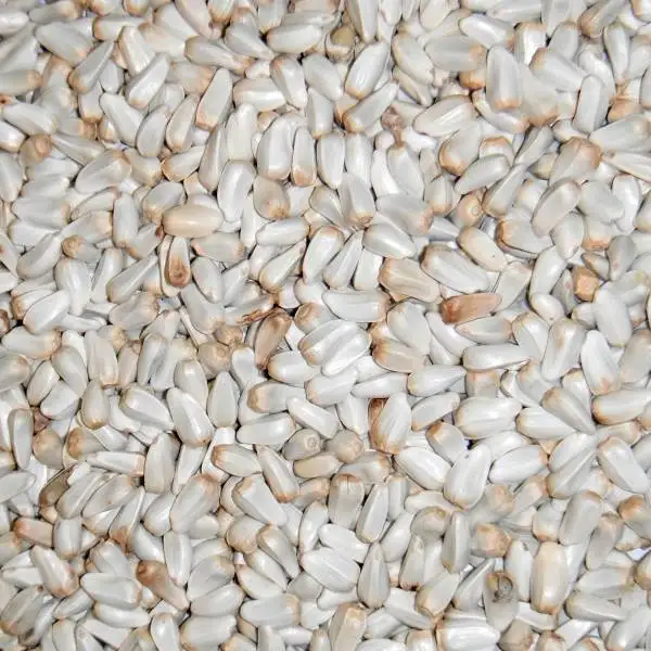 
POLAND SAFFLOWER SEEDS FROM BEST EXPORTER AVAILABLE FOR EXPORT AT A CONSIDERABLE PRICE.. 
