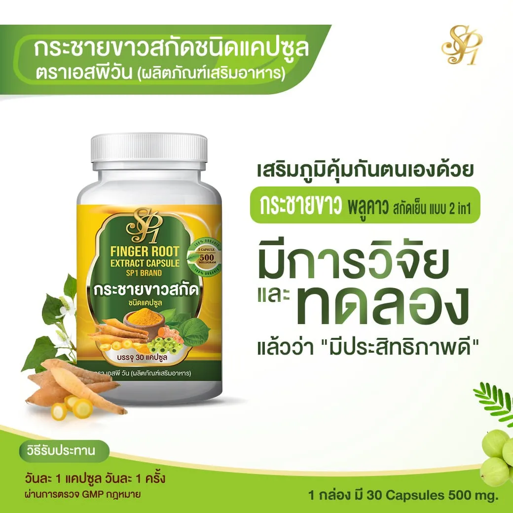 
Figer Root Extract Capsule product of Thailand 