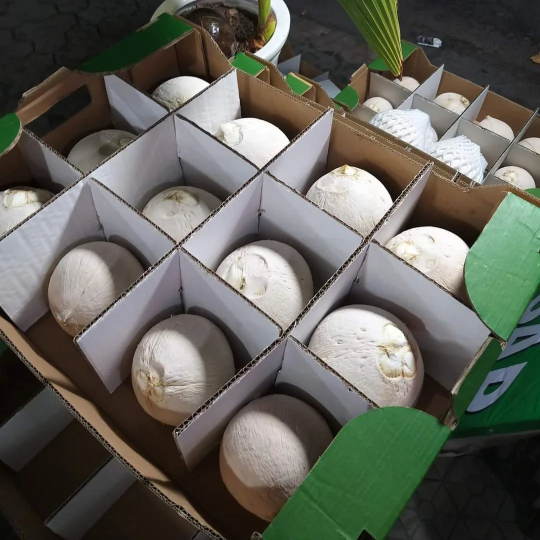  Свежий молодой кокос из Вьетнама высокое качество конкурентоспособная цена на экспорт