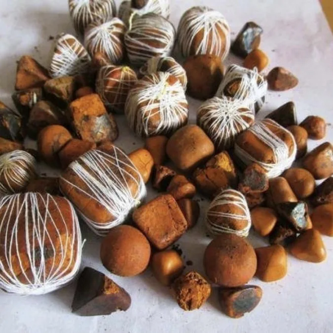 Dried Cow Ox Gallstones