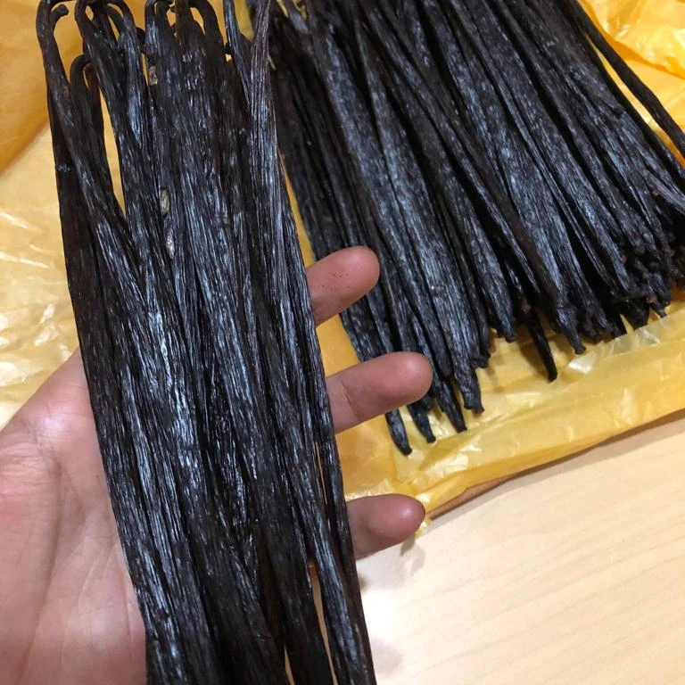 Madagascar Black Vanilla Bean Pods Style Weight Shelf Origin Type Life Dried Place Model Years Process