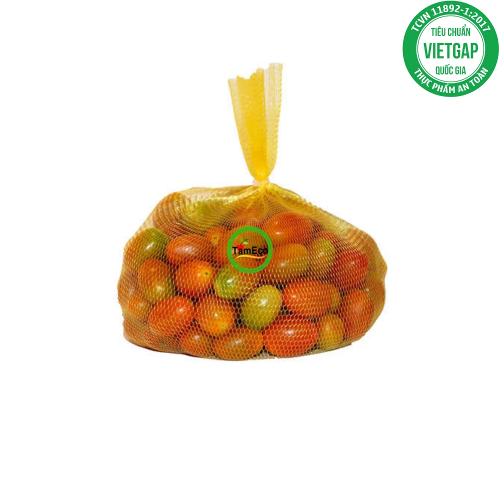 Vietnam All Season Vegetable Fruits TamEco Fresh Vegetables Fresh Round Oval Red Roma Tomatoes Carton Box