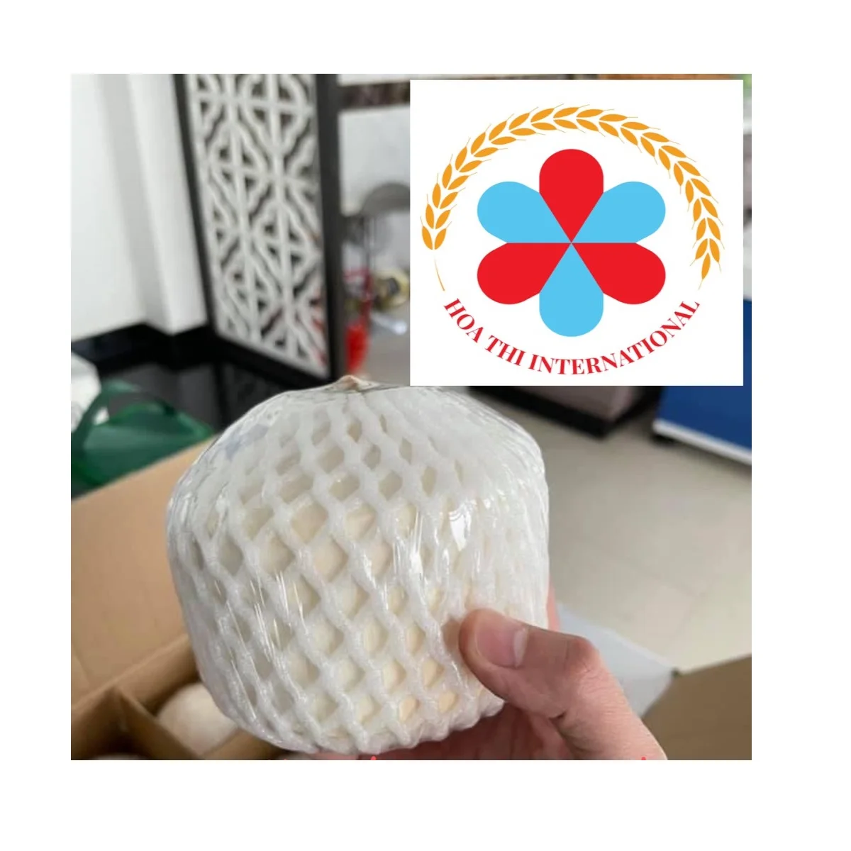 Свежий молодой кокос высокого качества по конкурентоспособной цене для экспорта, готов к отправке, Европейский азиатский рынок