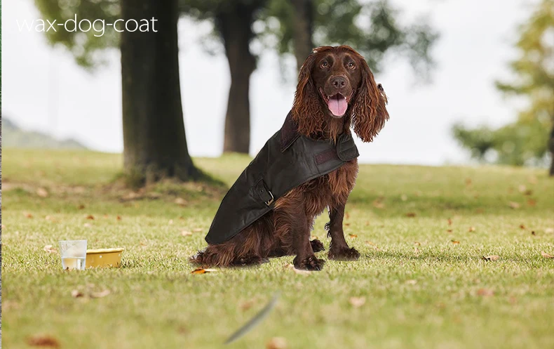 1Wax dog coat.jpg