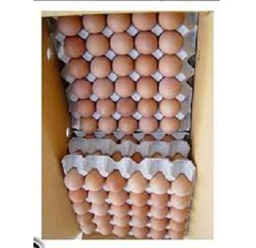 Very Fresh Farm White and Brown Chicken Table Eggs for sale