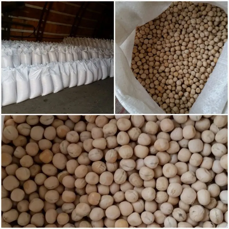 
We Sell 100% PURE QUALITY KABULI CHICKPEAS (7mm 8mm 9mm 12mm), At Low Price... 
