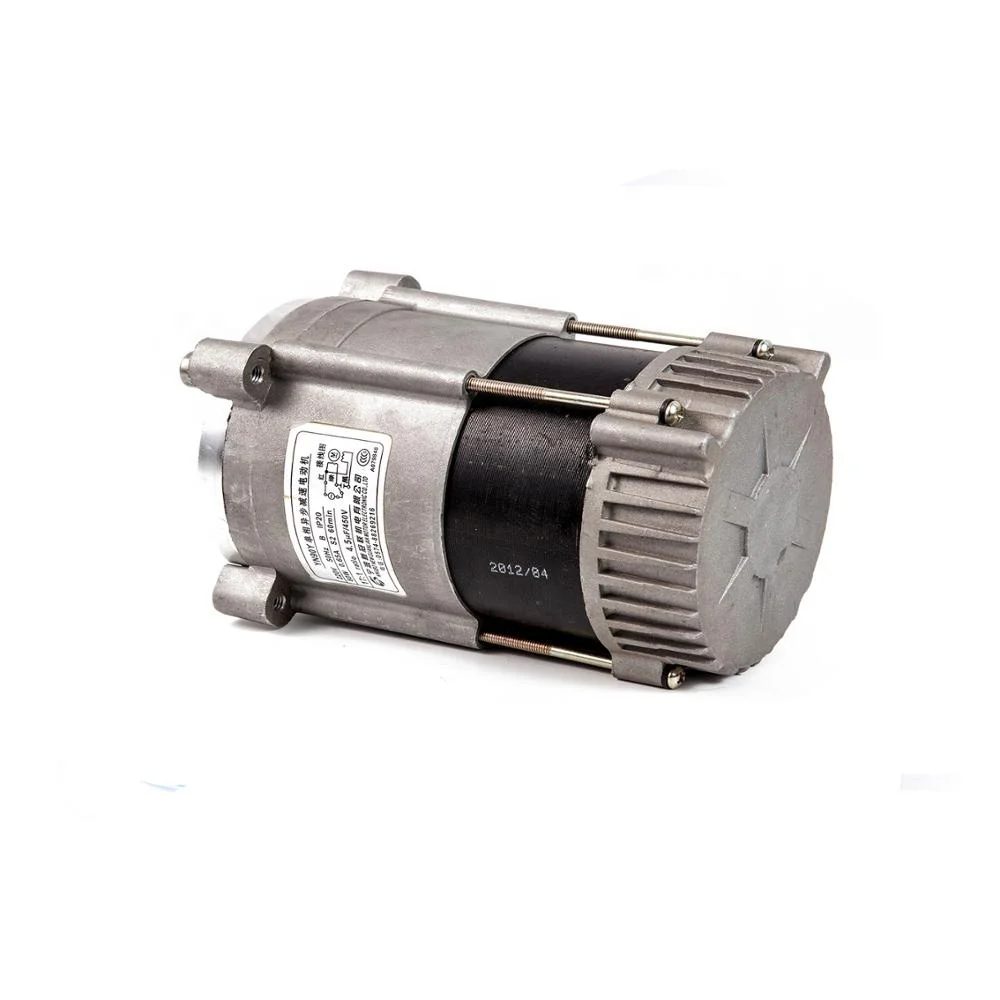 Small Electric Variable Speed Induction Motor