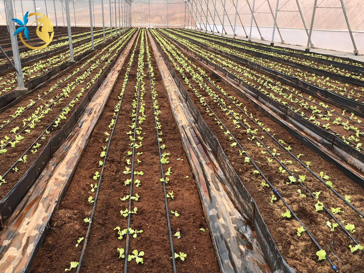 New Product OEM Coco Coir for Gardening Coco Peat Bulk Bag 1800L wholesales Coconut coir made in Vietnam