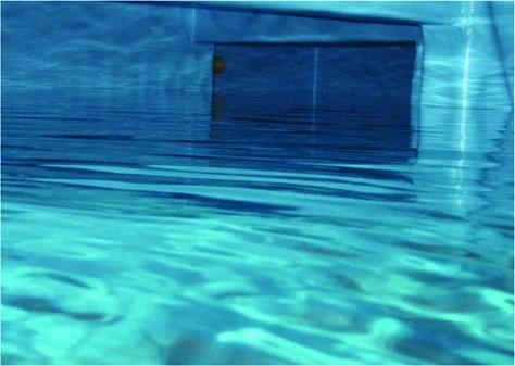 Pvc Membrane - Watercap ( Foil, Single Ply)